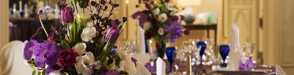 お探しのページは見つかりませんでした。