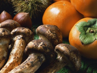 秋の宴会プラン