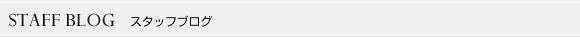 スタッフブログ